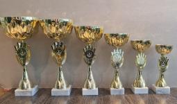 Pehar zlatni 6 veličina